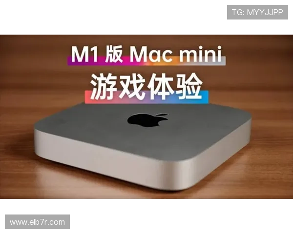 B体育会员全面解析：如何快速提升你的游戏体验与专属权益