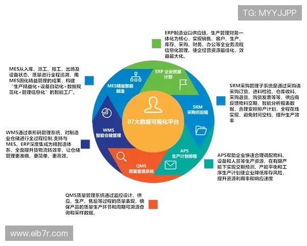 问鼎平台：完善的技术支持与服务体系确保企业在数字化转型中的顺利推进